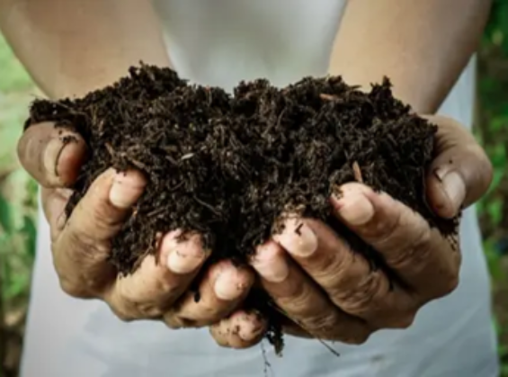 Quelles sont les astuces pour réussir son compost ?