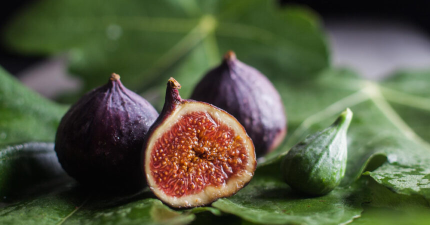 Envie de planter un figuier ? Découvrez les inconvénients à connaître !