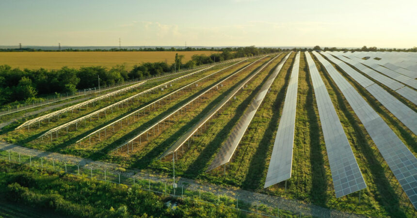 L&rsquo;agrivoltaïsme et ses avantages pour les agriculteurs et les éleveurs