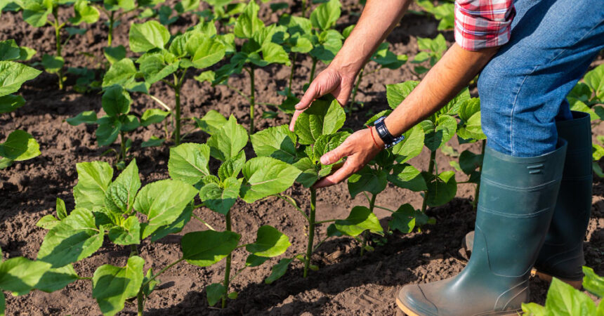 Comment choisir Les meilleures bottes pour agriculteurs