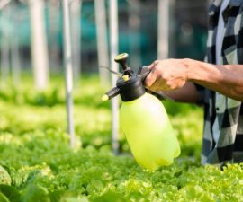 Dosage Roundup Dynamic pour 5 litres d&rsquo;eau