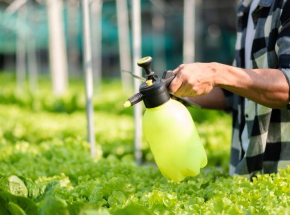 Dosage Roundup Dynamic pour 5 litres d&rsquo;eau