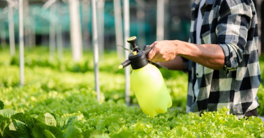 Dosage Roundup Dynamic pour 5 litres d&rsquo;eau