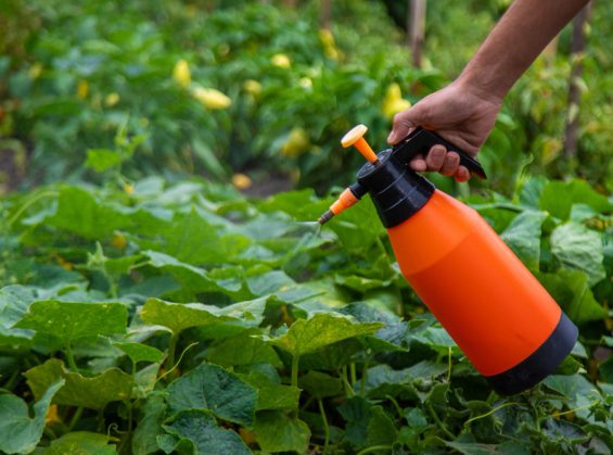 Dosage Roundup 360 Plus pour 5 litres d&rsquo;eau