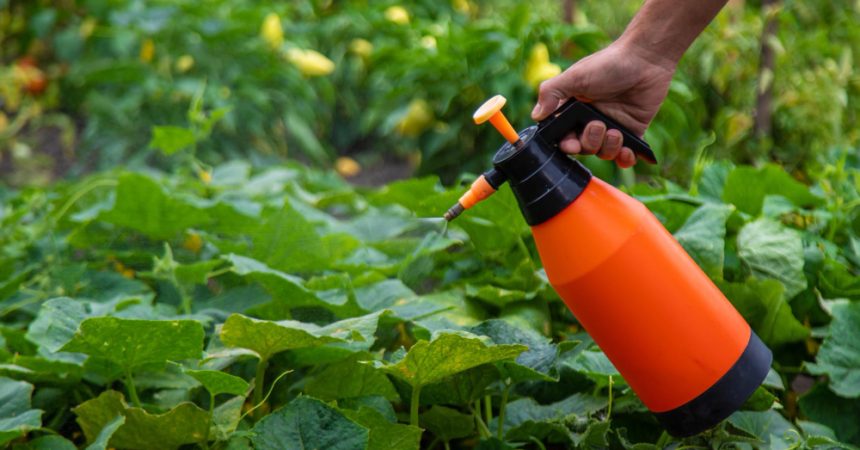 Dosage Roundup 360 Plus pour 5 litres d&rsquo;eau
