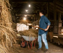 Comment s&rsquo;appelle l&rsquo;ouvrier qui travaille sur les terres d&rsquo;une ferme?