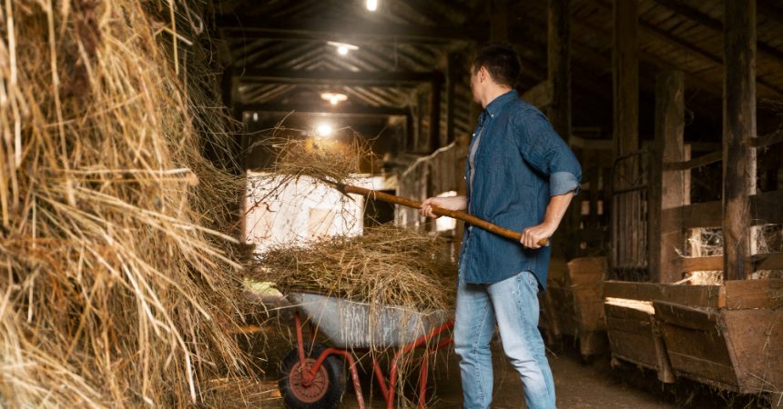 Comment s&rsquo;appelle l&rsquo;ouvrier qui travaille sur les terres d&rsquo;une ferme?