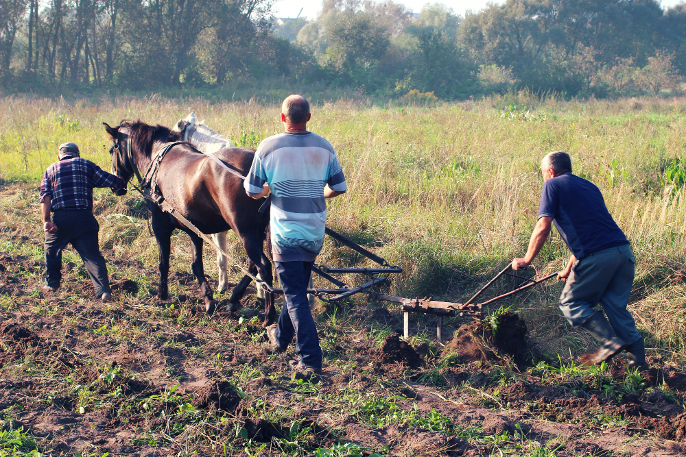 ouvrier de la ferme