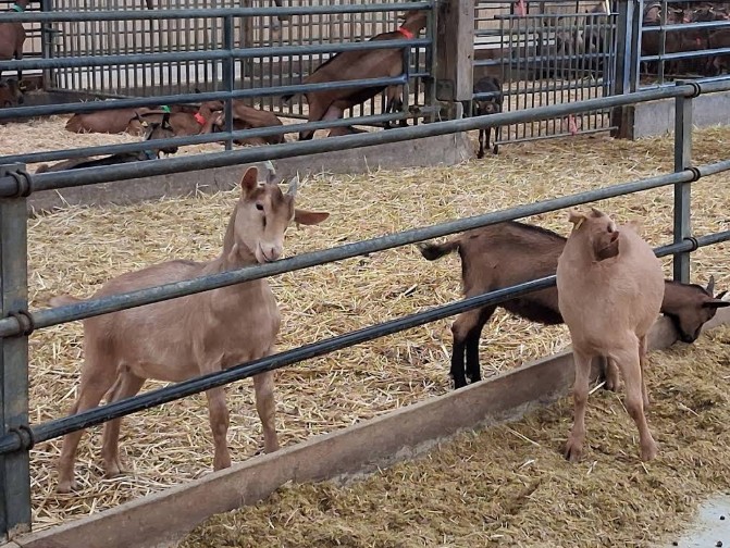 Ferme de la Tremblaye