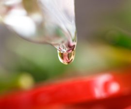 Arrosage goutte à goutte par gravité : installer un système simple et fiable