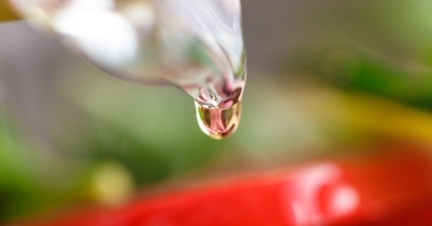 Arrosage goutte à goutte par gravité : installer un système simple et fiable