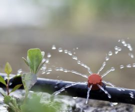 Schéma d&rsquo;installation d&rsquo;un goutte-à-goutte au potager