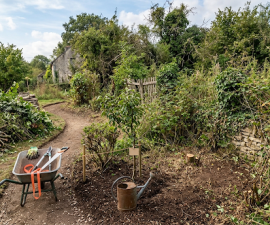 Jardin en friche : par où commencer pour le remettre en état sans tout arracher ?