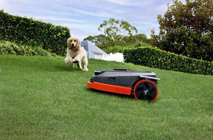 Un robot de tonte sur une pelouse